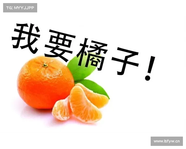 橘子没网,单机玩转乐趣 橘子没网,单机玩转乐趣